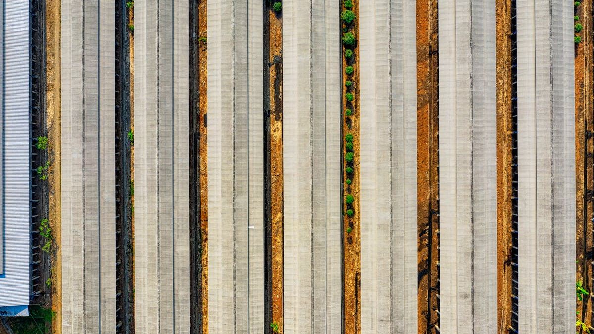 Maximizing Efficiency in U.S. Food Manufacturing with ERP Solutions: Strategies for Sustainable Growth