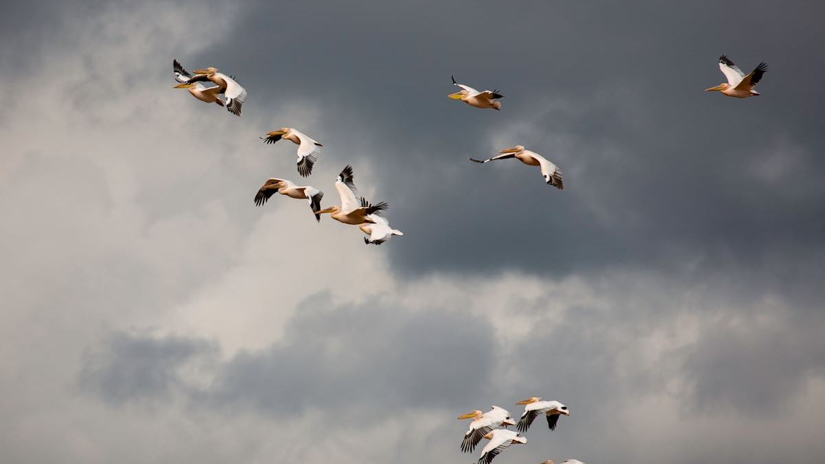 Navigating Cloud Migration: Best Practices and Strategies for US Businesses Seeking Cloud Solutions Services