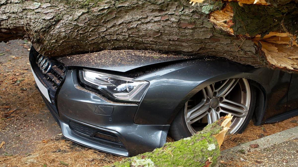 Affordable Auto and Home Insurance in Florida: Tips and Strategies for Saving Money with Cheap Insurance Florida