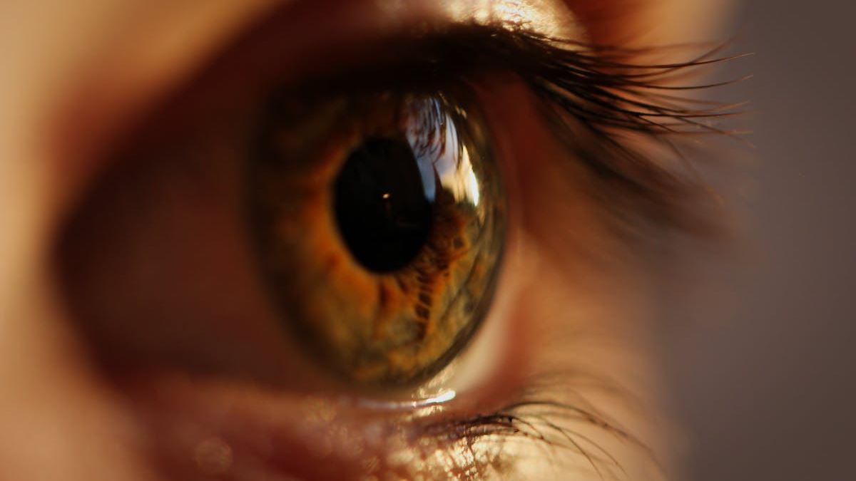 Light Eye Treatment: A Holistic Approach to Preserving and Enhancing Vision Health