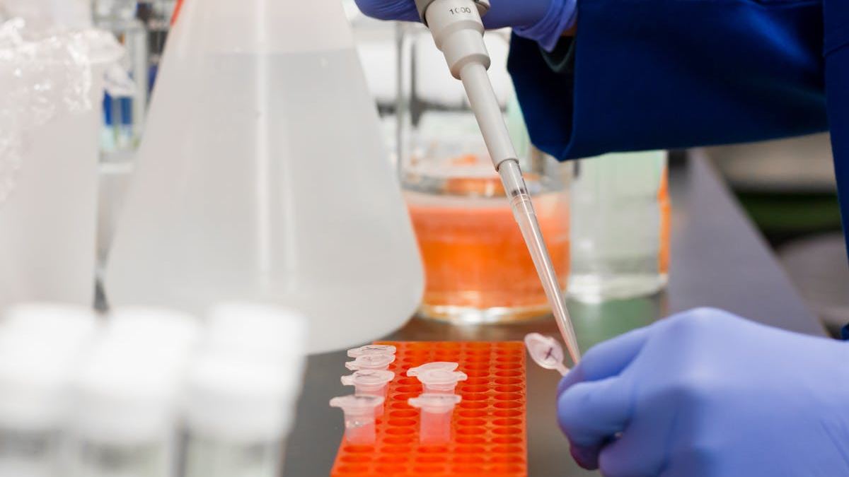 The Rise of Top Biotech ETFs: Unlocking Sector Growth for Diversified Portfolios