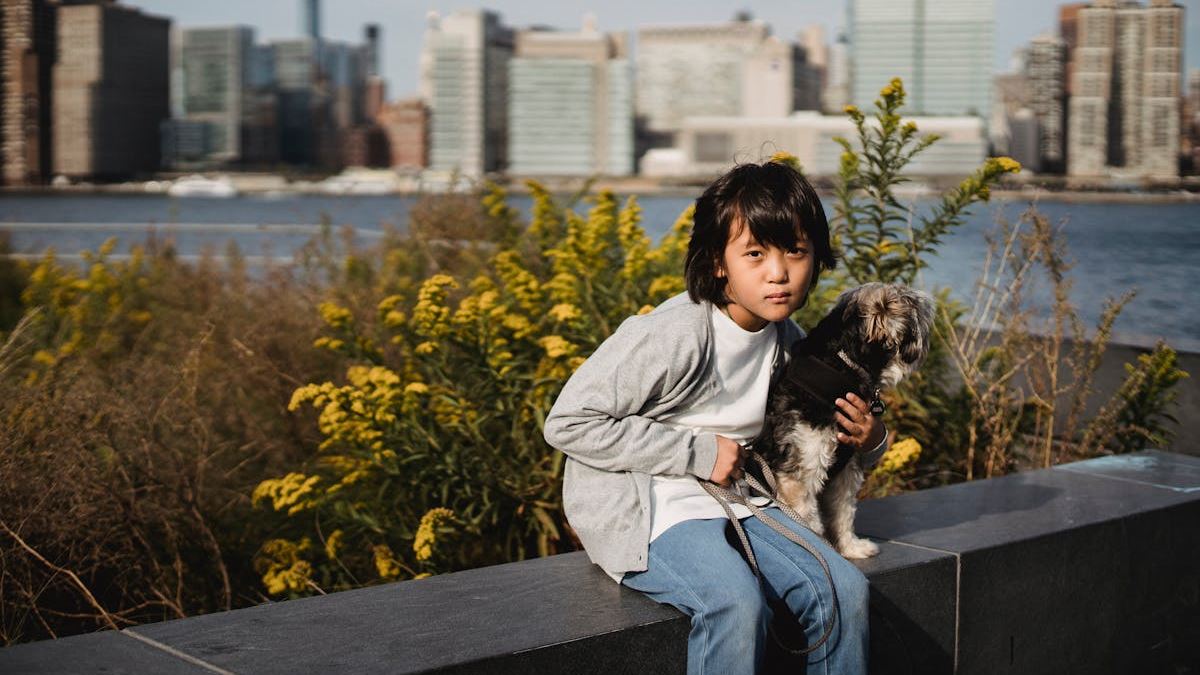 Why Every Pet Owner in NY Should Invest in the Best Pet Insurance Today