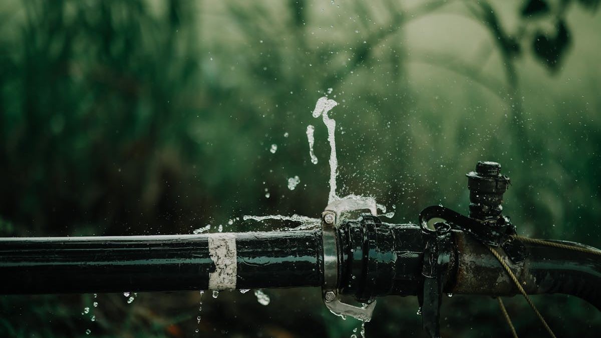 Expert Tips for Effective Water Leak Repair: Safeguarding Your Home and Finances