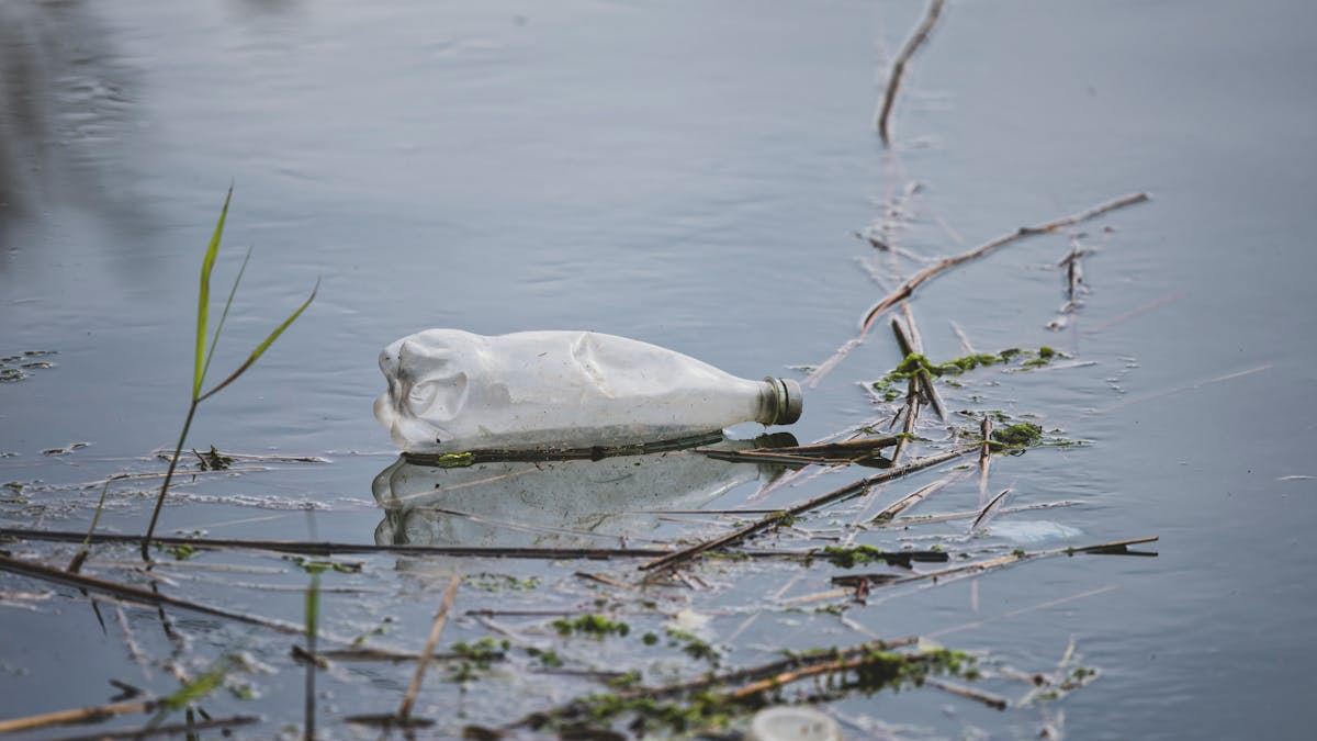 Why the Bottled Water List Avoid Could Save Your Health and the Environment in the U.S.