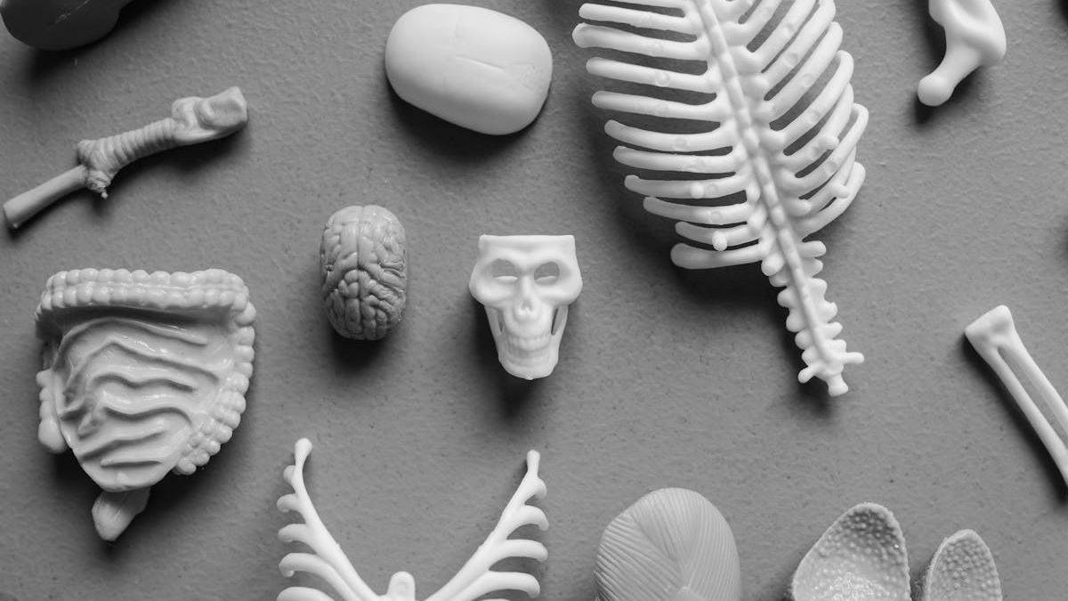 Empowering Future Nurses: How Online Nursing Degree Programs are Changing Healthcare in the United States