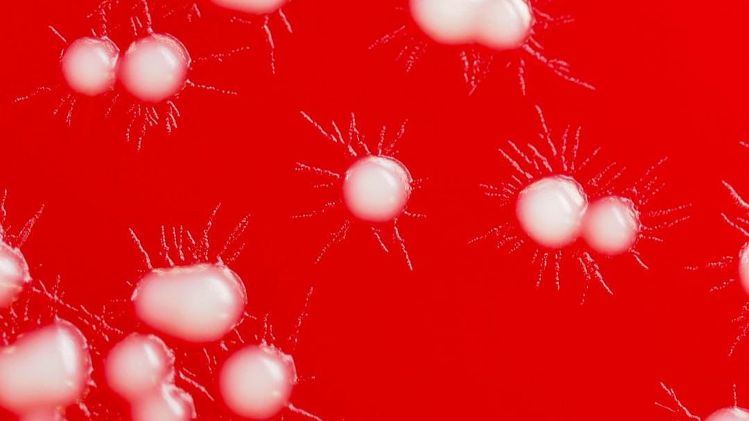 Spotting the Signs You Have Hepatitis C: What Every American Should Know
