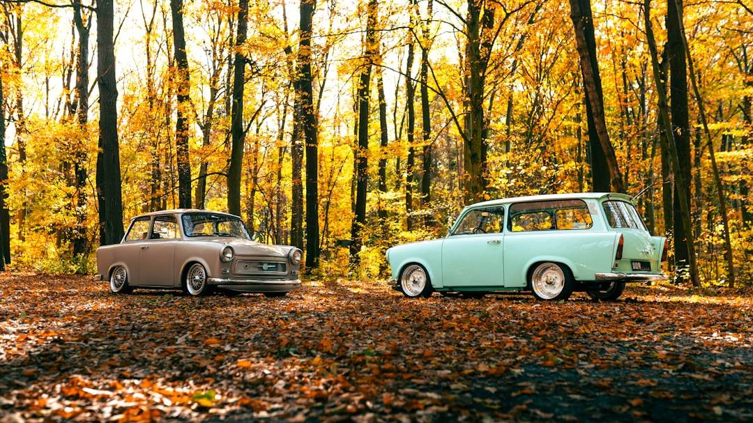 How to Choose the Best Car Insurance Seniors Can Trust in the United States